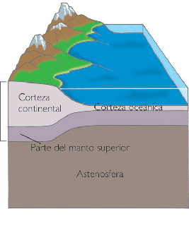 Tectónica de placas y estructura interna de la Tierra - Rebeca